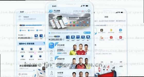 如何获取平台的主要访问入口？